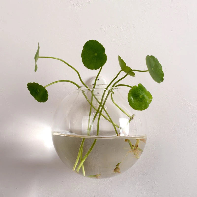 Hydroponic Wall Hanging Glass Vase