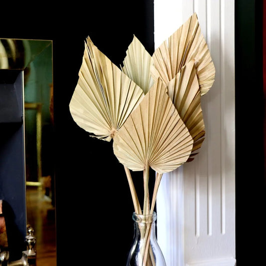 2PCS Palm Fan Leaf Dried Flower