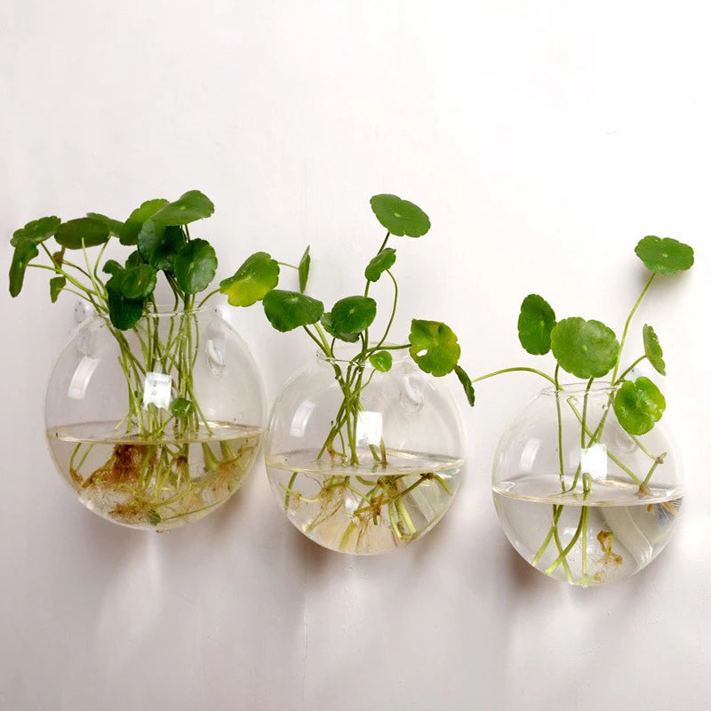 Hydroponic Wall Hanging Glass Vase