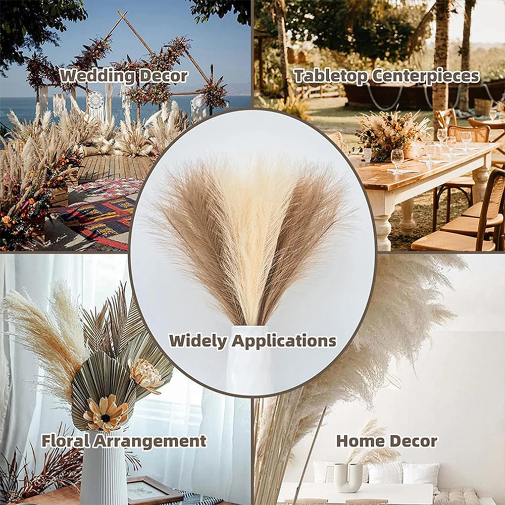 5/10/20PCS Fluffy Pampas Grass