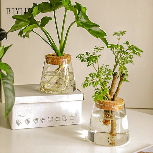 Transparent Glass Hydroponic Plant Vase