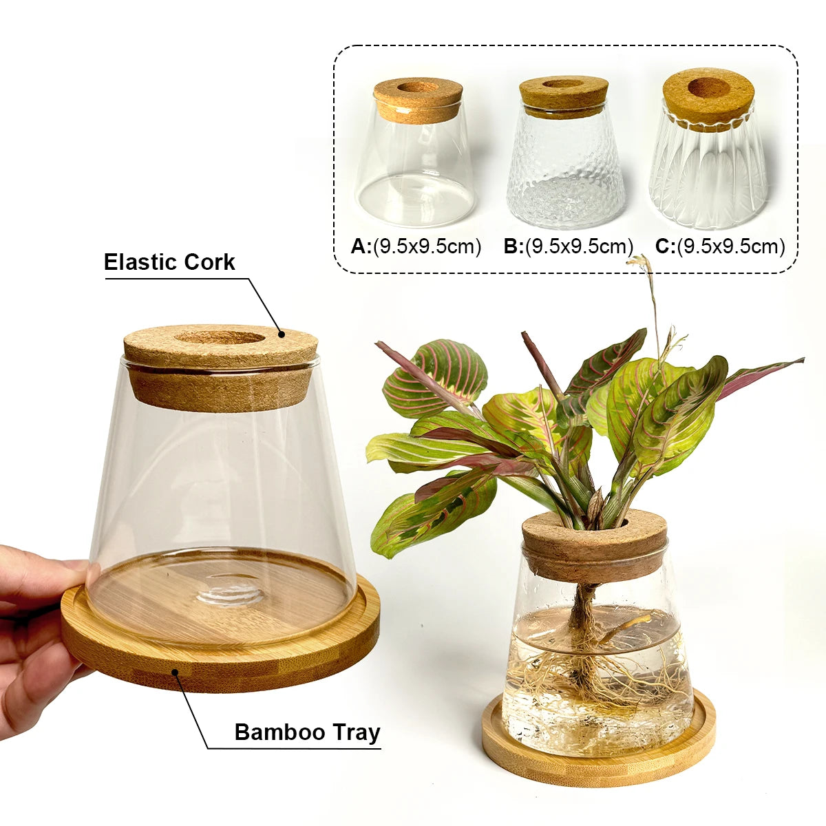 Transparent Glass Hydroponic Plant Vase