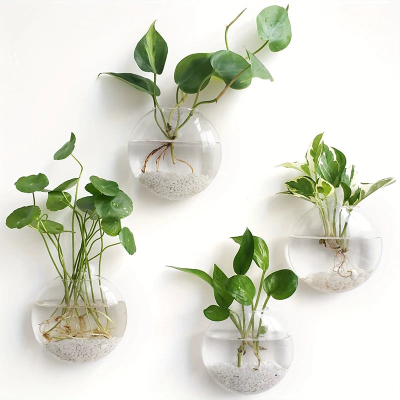 Hydroponic Wall Hanging Glass Vase