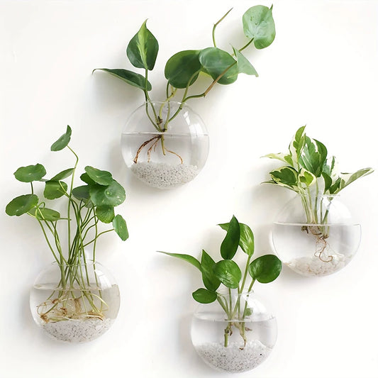 Hydroponic Wall Hanging Glass Vase