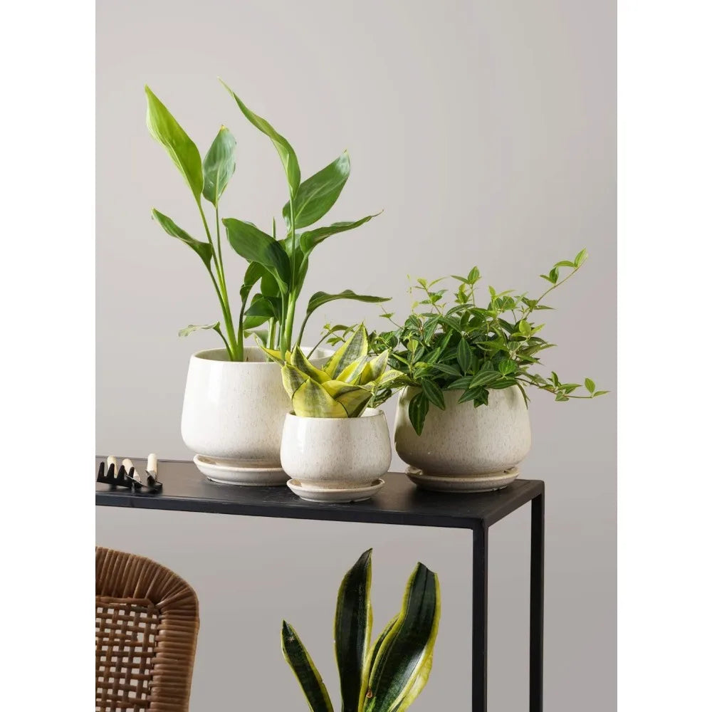 Set of 3, Ceramic Indoor Flowerpots